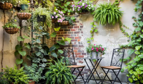 Vertical Gardening Ideas for Tiny Balconies With Very Little Floor Space