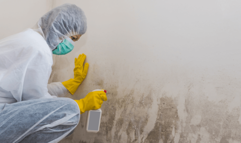 How to Repaint After Damp or Leak Repairs So Patches Don’t Show Up Again