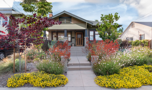 Why Choosing Native and Local Plants Makes Home Gardens Easier to Maintain